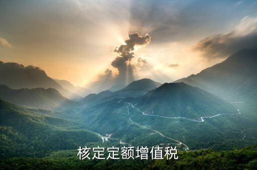 核定定額什么意思，什么叫上網(wǎng)電量和核定的定額稅率