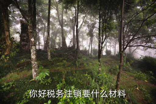 注銷地稅需要帶什么手續(xù)費，注銷地稅繳稅戶需要什么手續(xù)
