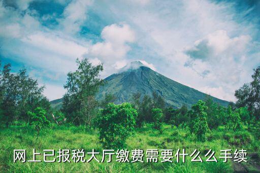到大廳劃稅款需要什么意思，納稅人到銀行劃解稅款的征收方式劃解是什么意思