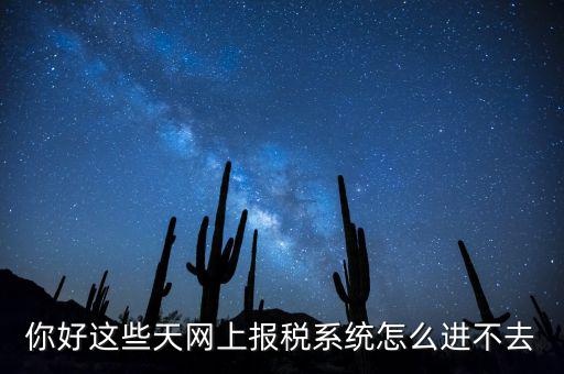 為什么個稅系統(tǒng)打不開，你好這些天網(wǎng)上報稅系統(tǒng)怎么進不去
