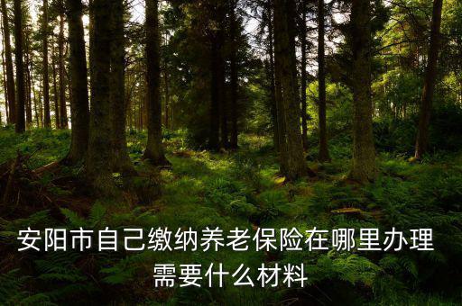 安陽(yáng)地稅局交個(gè)人保險(xiǎn)在什么地方，安陽(yáng)市醫(yī)保交費(fèi)在哪里地稅局