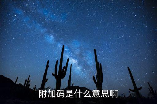 遼寧查發(fā)票有一個附加碼是什么，發(fā)票真?zhèn)尾樵兇a是什么