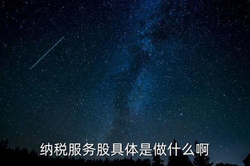 納稅服務(wù)股是什么意思，納稅服務(wù)股具體是做什么啊