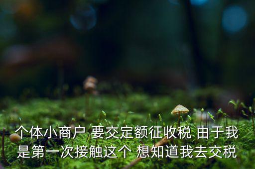定額納稅到什么地方繳，定額征收的個體需繳納什么地稅