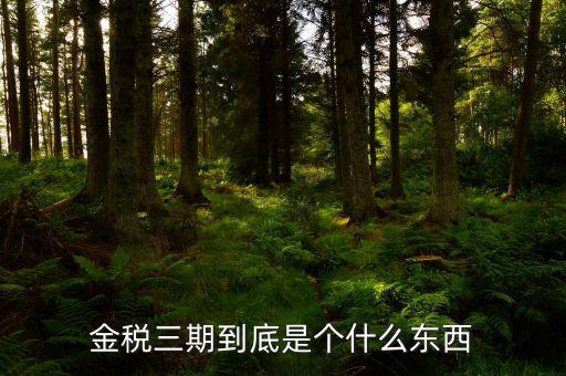 金三上線是什么意思，什么是稅務金山系統(tǒng)