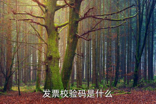 電子發(fā)票 查詢的驗(yàn)證碼是什么，發(fā)票校驗(yàn)碼是什么