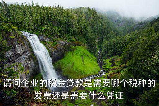 國(guó)稅貸款是什么，建設(shè)銀行的國(guó)稅是什么東西