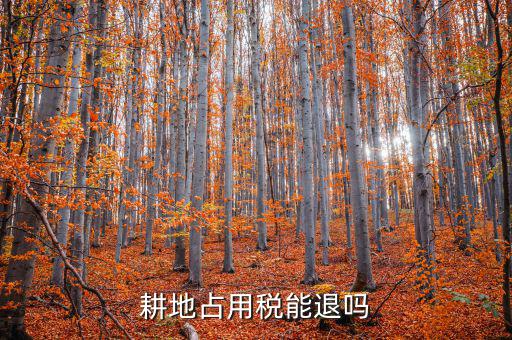 耕地占用稅什么情況可以退，占用耕地罰款后拆遷還能退嗎