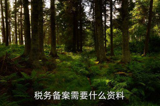 消費(fèi)稅免稅備案需要帶什么資料，理跨境服務(wù)免稅備案手續(xù)時需要提交哪些資料