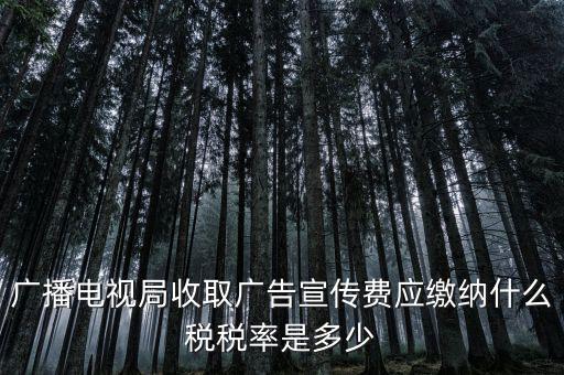 宣傳費(fèi)屬于什么稅，廣播電視局收取廣告宣傳費(fèi)應(yīng)繳納什么稅稅率是多少