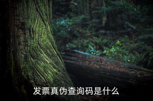 網(wǎng)絡發(fā)票查詢號是什么，發(fā)票真?zhèn)尾樵兇a是什么