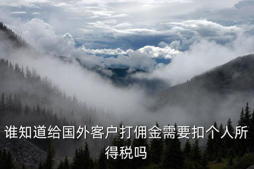 收到境外傭金交什么稅，關(guān)于國外支付國內(nèi)傭金方面的稅務(wù)問題