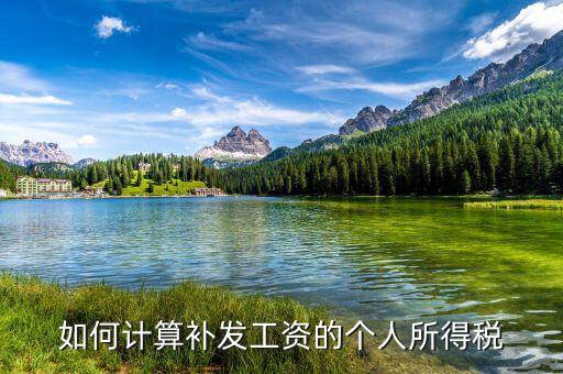北京 工資補(bǔ)發(fā) 按照什么計(jì)稅，如何計(jì)算補(bǔ)發(fā)工資的個(gè)人所得稅