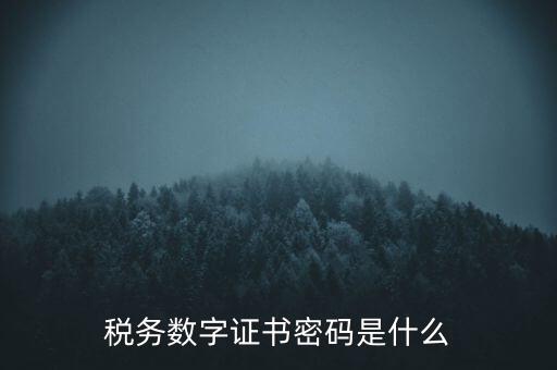 輸入稅務(wù)數(shù)字證書密碼是什么，稅務(wù)數(shù)字證書密碼是什么