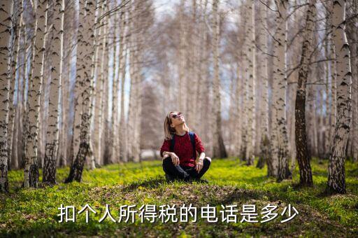 成都查個稅打什么電話，如何查詢個人所得稅明細(xì)