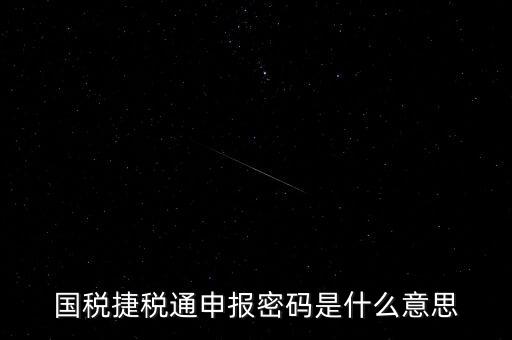 稅務(wù)軟件申報密碼是什么意思，納稅申報密碼是什么