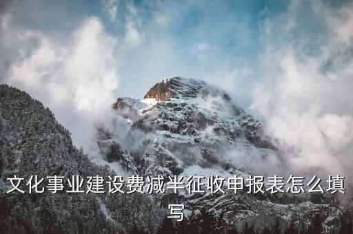 什么叫文化事業(yè)建設(shè)費(fèi)申報(bào)表，文化事業(yè)建設(shè)費(fèi)申報(bào)表怎么填