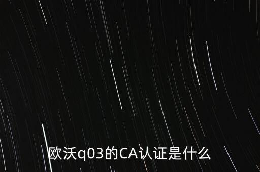ca認(rèn)證密碼是什么意思，歐沃q03的CA認(rèn)證是什么