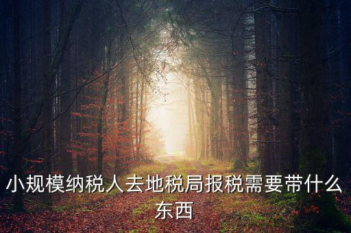 上門(mén)申報(bào)附加稅要帶什么資料，去地稅局繳納營(yíng)業(yè)稅金及附加需要帶什么資料