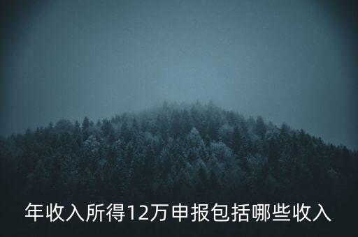十二萬申報(bào)是什么，12萬個(gè)稅申報(bào)有什么用