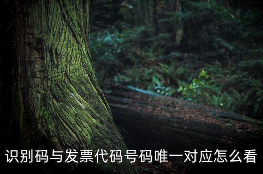發(fā)票查詢識別碼是什么，識別碼與發(fā)票代碼號碼唯一對應(yīng)怎么看