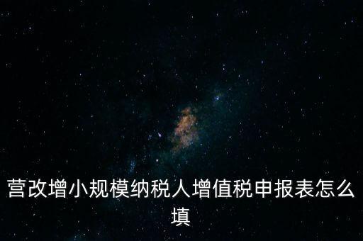 營(yíng)改增需要填什么表，營(yíng)改增小規(guī)模納稅人網(wǎng)上納稅申報(bào)需要填寫幾張表