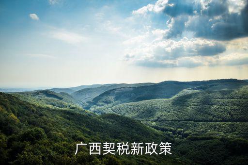 廣西的稅收什么時(shí)候?qū)嵭幸话阌?jì)稅，2022年的廣西稅率