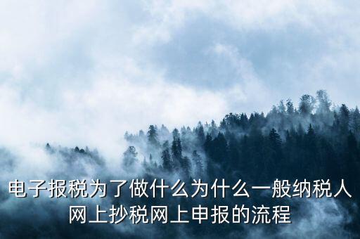 電子稅務(wù)申報(bào)是什么來(lái)的，電子申報(bào)納稅是怎么回事給報(bào)送紙質(zhì)申報(bào)材料一樣嗎