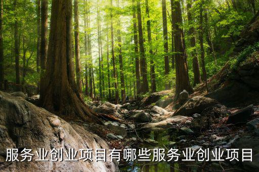 服務(wù)業(yè)有什么進(jìn)項(xiàng)，服務(wù)業(yè)營改增哪些可以抵扣