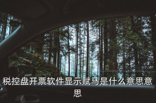 稅控盤(pán)開(kāi)票軟件顯示賦馬是什么意思意思