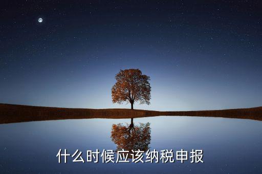 消費稅什么時候申報，什么時候應(yīng)該納稅申報