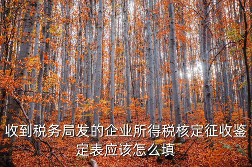 去稅務(wù)局核定征收填什么，核定征收企業(yè)報(bào)所得稅在去稅務(wù)局核定時(shí)需要拿什么資料