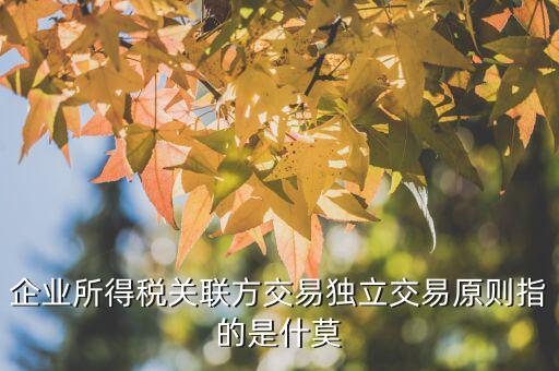 什么是合理商業(yè)目的，如何判斷企業(yè)實施的納稅籌劃不具有合理商業(yè)目的