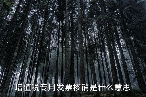 發(fā)票管家是什么，發(fā)票開票系統(tǒng)KEY是什么