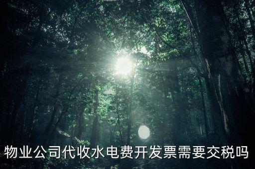 物業(yè)水費(fèi)要交什么稅，2022年4月物業(yè)公司開(kāi)水電費(fèi)發(fā)票稅率