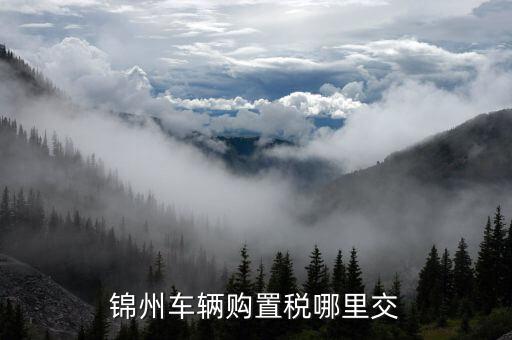 錦州國稅局車輛購置部門是什么，錦州機動車購置稅在哪里交