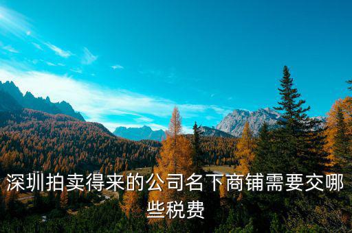 拍賣(mài)公司交什么稅，拍賣(mài)公司取得的傭金收入2000交哪些稅