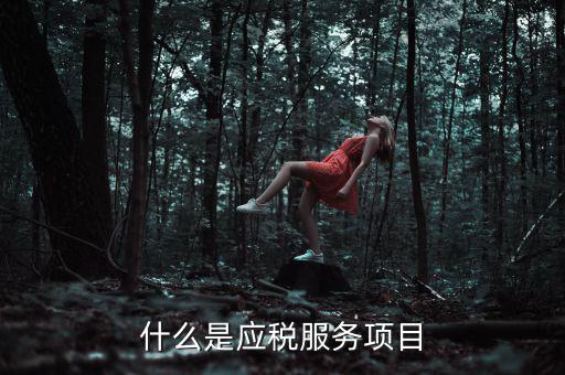 什么事納稅服務，什么是應稅服務項目