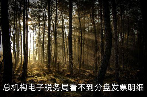 總機構(gòu)電子稅務局看不到分盤發(fā)票明細