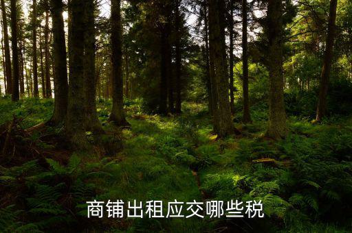 門面租賃稅是什么，商鋪出租應(yīng)交哪些稅