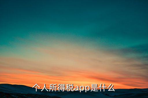 網(wǎng)上交稅要下載什么東西，個(gè)人所得稅官網(wǎng)登錄企業(yè)個(gè)人所得稅要下載什么端口申報(bào)