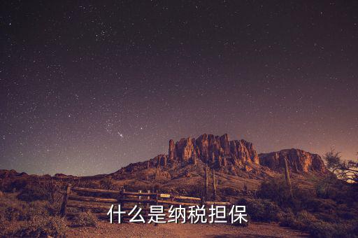 納稅擔(dān)保人用來(lái)干什么的，什么是納稅擔(dān)保