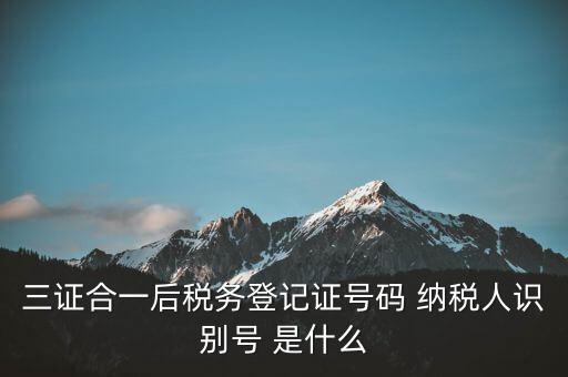 三證合一納稅識別號是什么，三證合一后納稅人識別號是什么意思