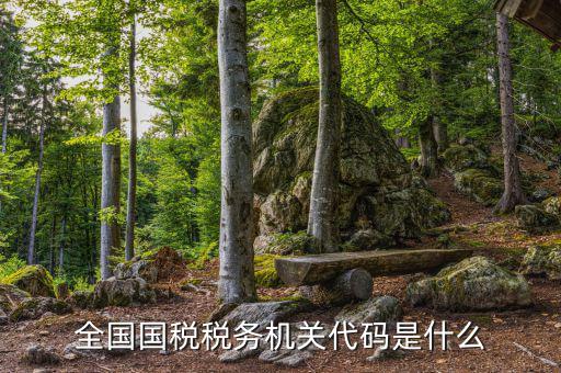 國(guó)稅的用戶代碼是什么，國(guó)稅局發(fā)票軟件里用戶代碼和密碼是什么