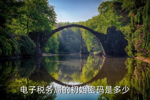 新辦公司電子稅務(wù)密碼是什么，電子稅務(wù)局的初始密碼是多少