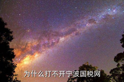 寧波國(guó)稅app為什么登陸不上，為什么打不開寧波國(guó)稅網(wǎng)