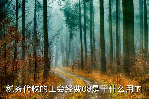 稅務(wù)代收工會經(jīng)費什么意思，稅務(wù)機關(guān)代收工會經(jīng)費是什么意思
