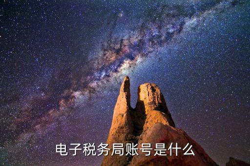浙江省網(wǎng)上稅務(wù)局的賬號(hào)是什么意思，電子稅務(wù)局賬號(hào)是什么號(hào)碼