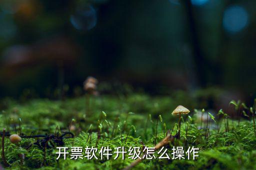 發(fā)票升級(jí)最新版本是什么原因，稅務(wù)升版是什么意思