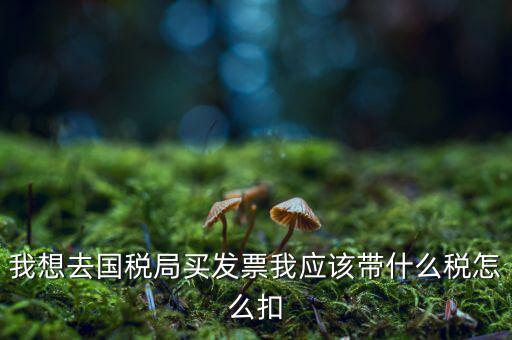 去國稅局扣稅需帶什么，我想去國稅局買發(fā)票我應(yīng)該帶什么稅怎么扣